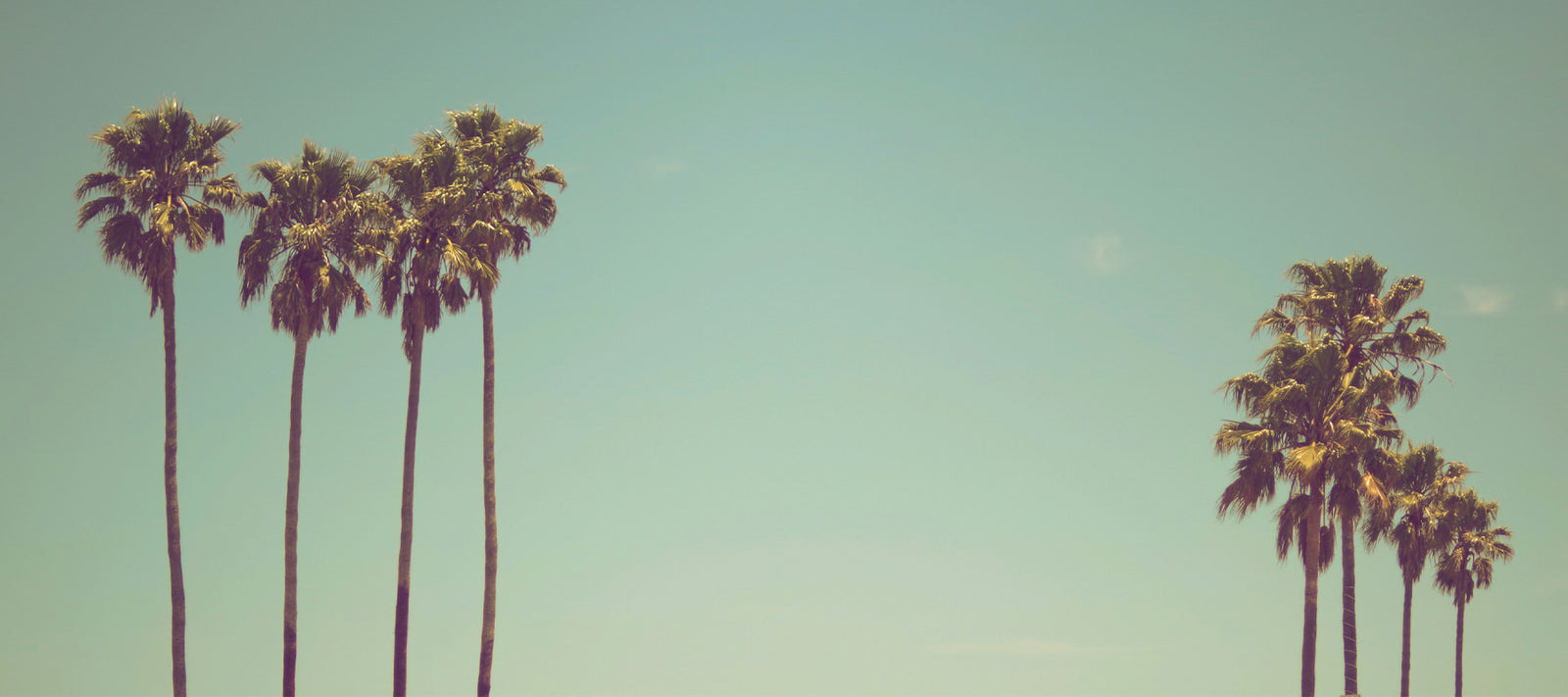 Embracing the Sunshine: Top 10 Things to Do in Melbourne This Summer